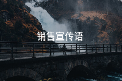 ...音乐之美尽
